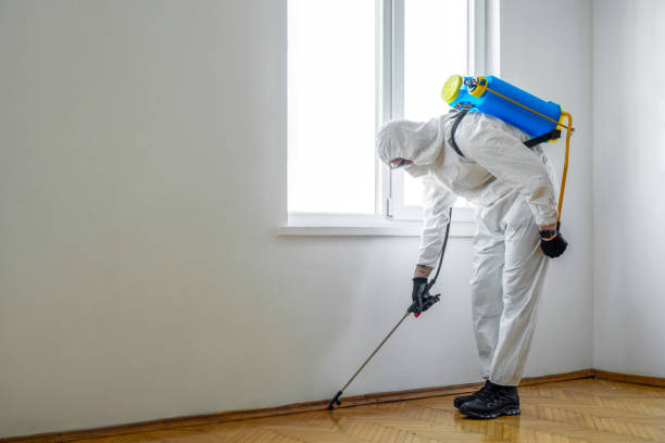 Best Pest Removal Services  in Kemmerer, WY